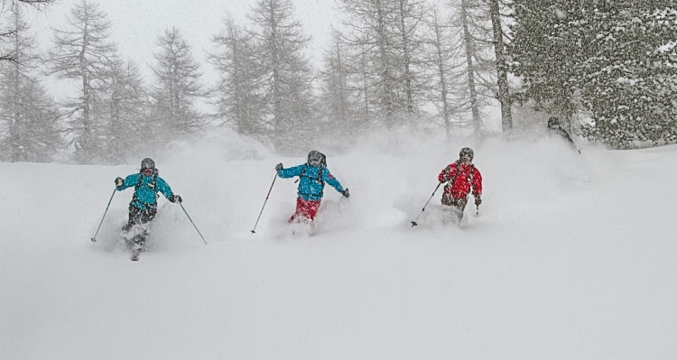 Powder skiing in snowfall. Feb 11 2010. Photo: Andreas Bengtsson