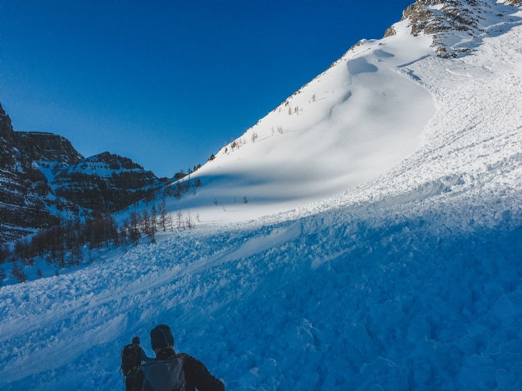 Flaklavin i Revelstoke. Foto: Andreas Bengtsson