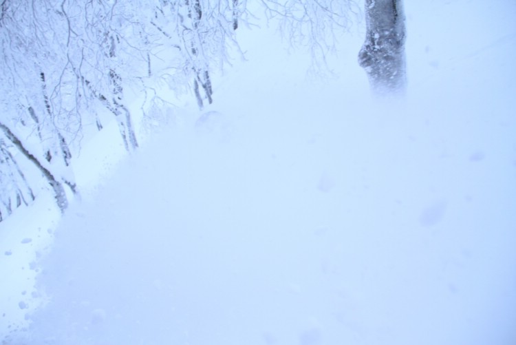 Ibland är det bra att titta upp ur snöröken för att se vart träden är. Henrik Bonnevier får tillfälliga navigatiosnproblem. Foto: Andreas Bengtsson