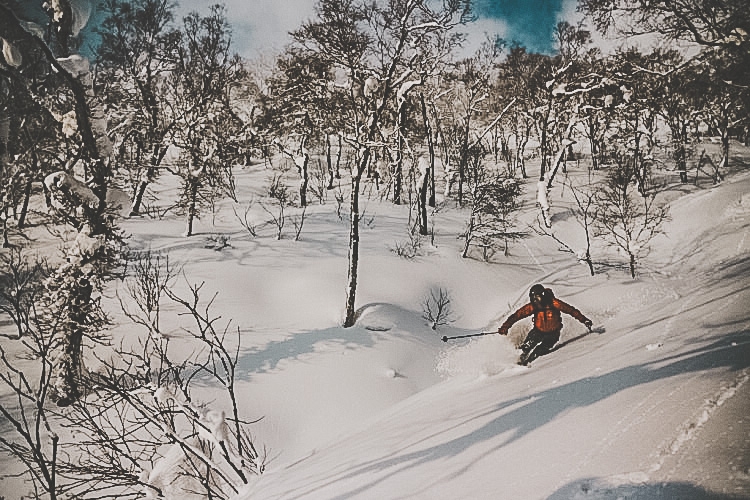 Anders Aidanpä i den vackra skogen i Niseko. Foto: Andreas Bengtsson