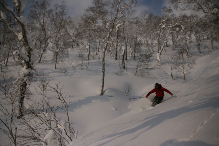 Anders Aidanpä skiing the beautiful forest in Hokkaido, Japan. Photo: Andreas Bengtsson