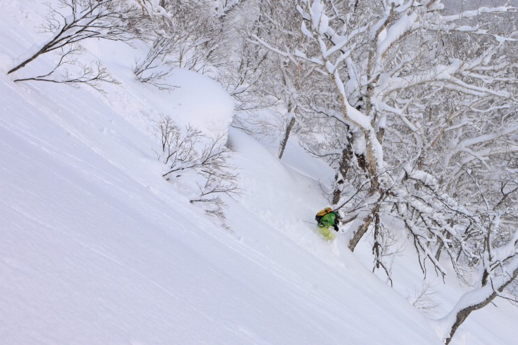 Anders Sjöberg åker skidor i Annupuri, Japan. Foto: Henrik Bonnevier 