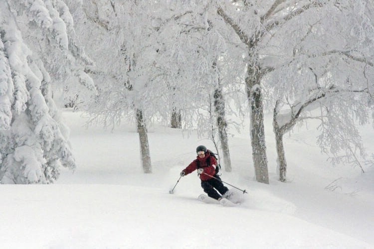 Henrik Bonnevier powder skiing in Hokkaido, Japan. January 8 2010. Photo: Andreas Bengtsson 