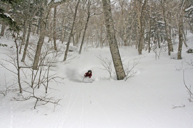 Henrik Bonnevier powder skiing in Hokkaido, Japan. January 9 2010. Photo: Andreas Bengtsson 