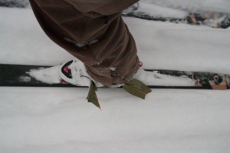 Bambu in the ski boots. Hokkaido, Japan. January 9 2010. Photo: Andreas Bengtsson 