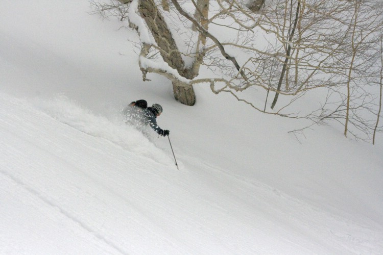 Mats Anderfjärd powder skiing. Hokkaido, Japan. January 10 2010. Photo: Andreas Bengtsson 